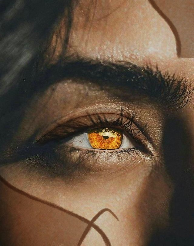 xᴇɪᴀꜰ ᴀᴄʜ ⋆ ᴊᴇᴅɪ ꜱᴇɴᴛɪɴᴇʟ tweet media