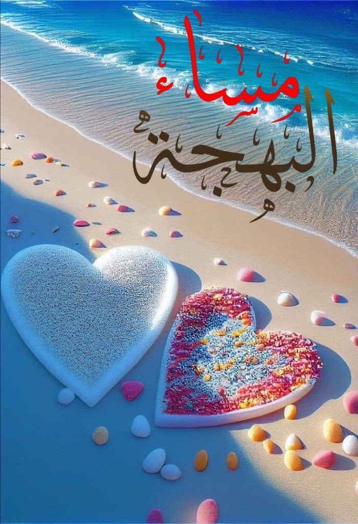 @ql969_👁️‍🗨️الصقر الجارح tweet media