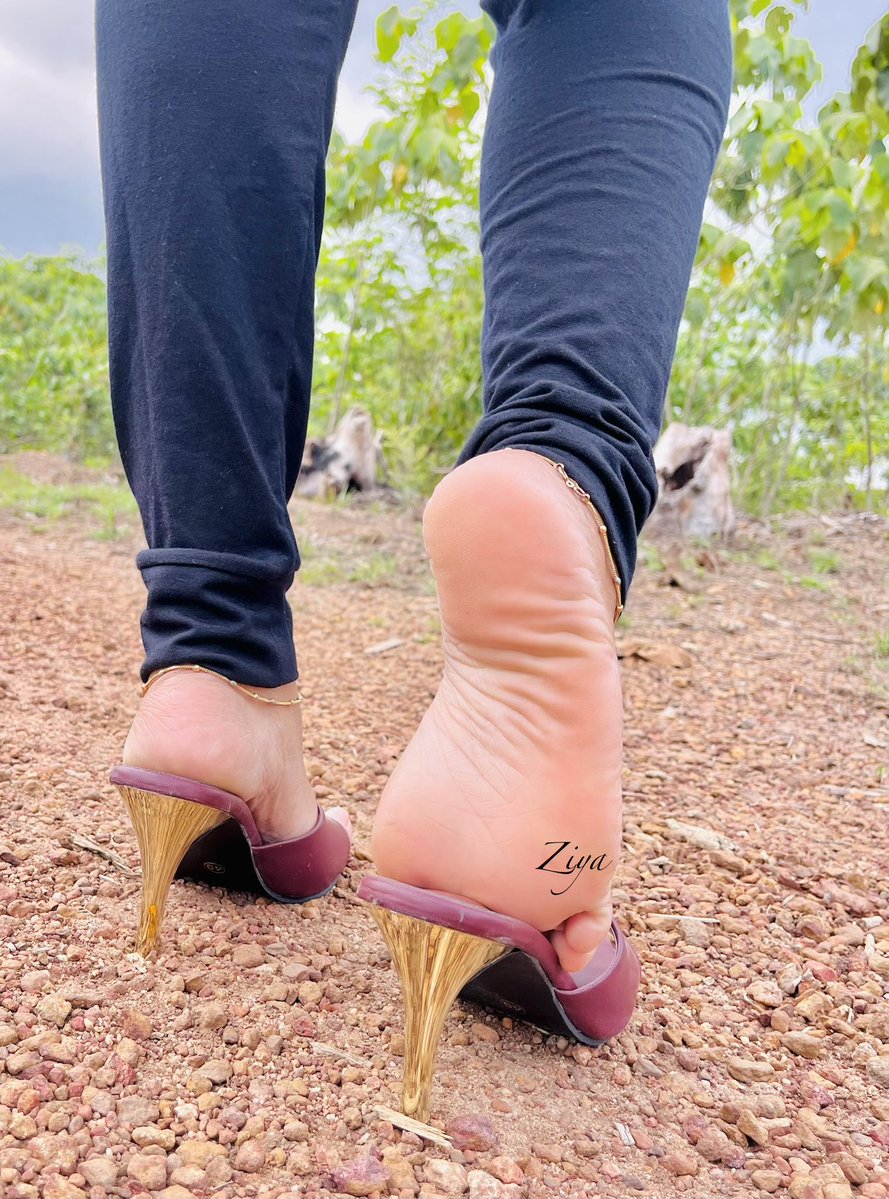 ziya_feetqueen tweet media