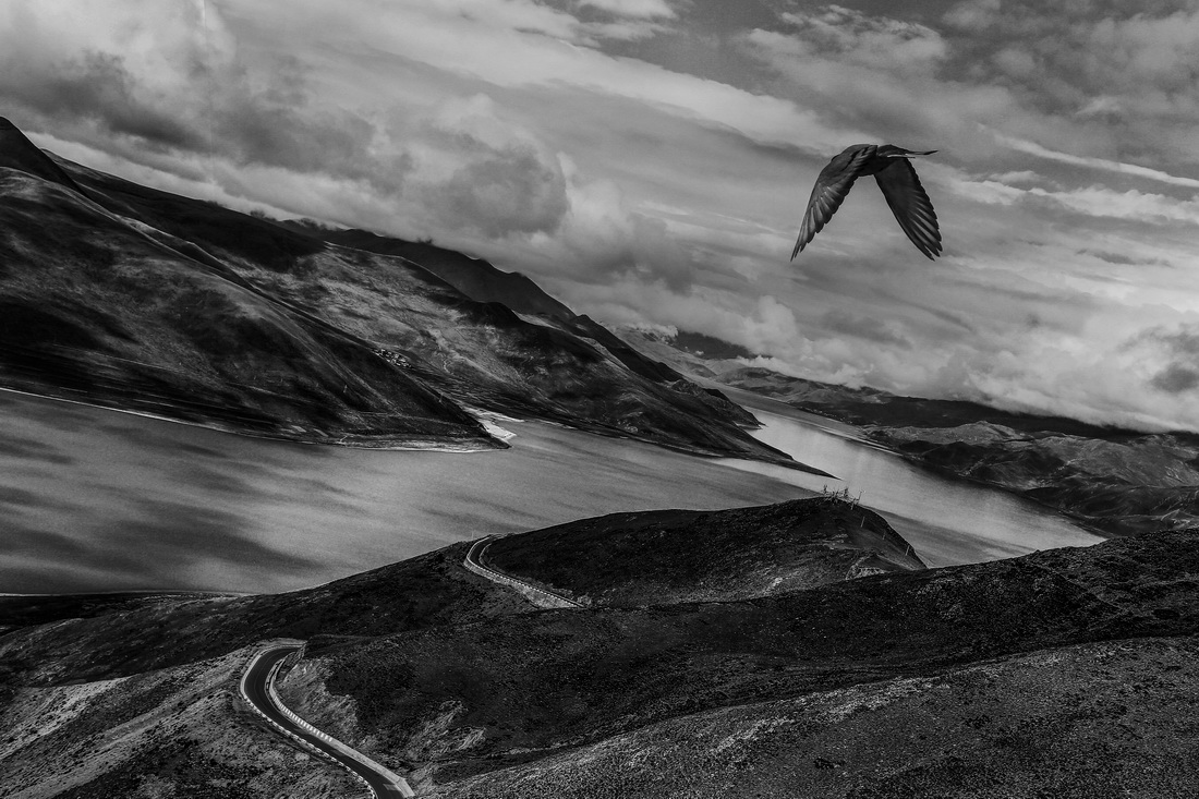 foist_13th's tweet image. "The Peace Of Tibet" by Huang Xi #photography