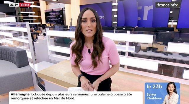 MBellesLettres tweet media