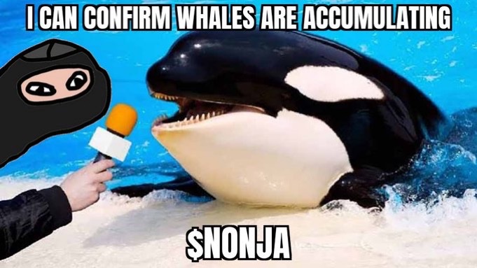 nonja tweet media