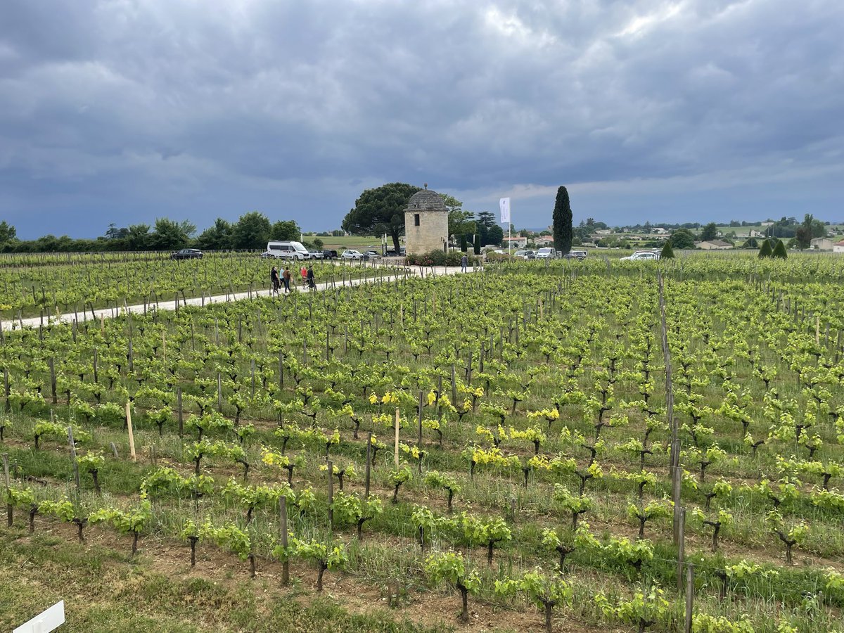 dianabosch64's tweet photo. Pas mal a #saintemilion https://t.co/FZUNqLpV52