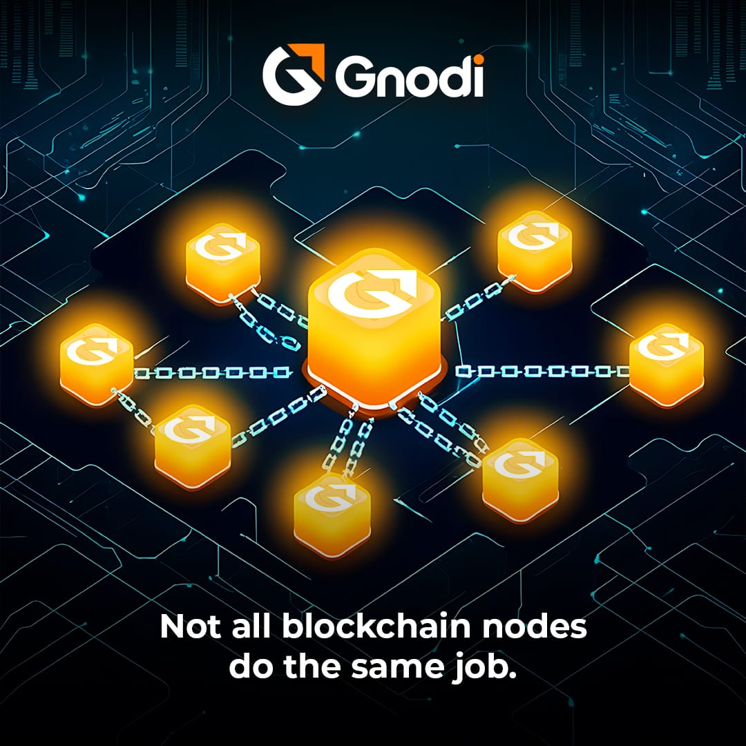 Gnodi Network tweet media