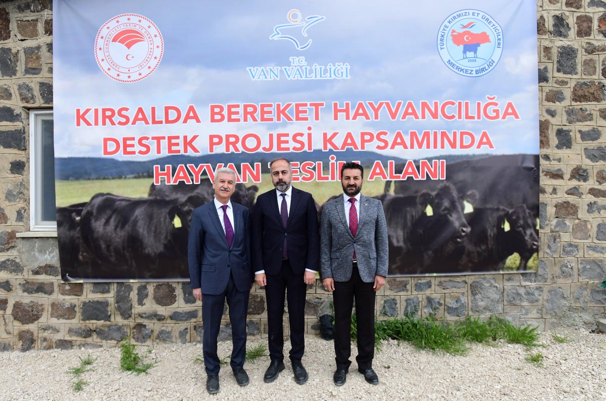 VAN YYÜ tweet media