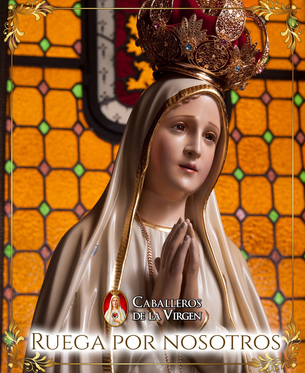 Caballeros de la Virgen tweet media