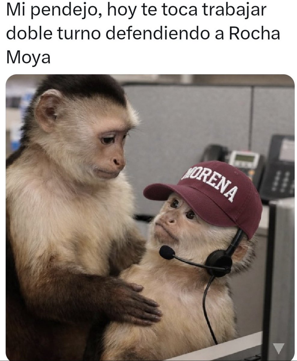 Incómoda para muchos tweet media