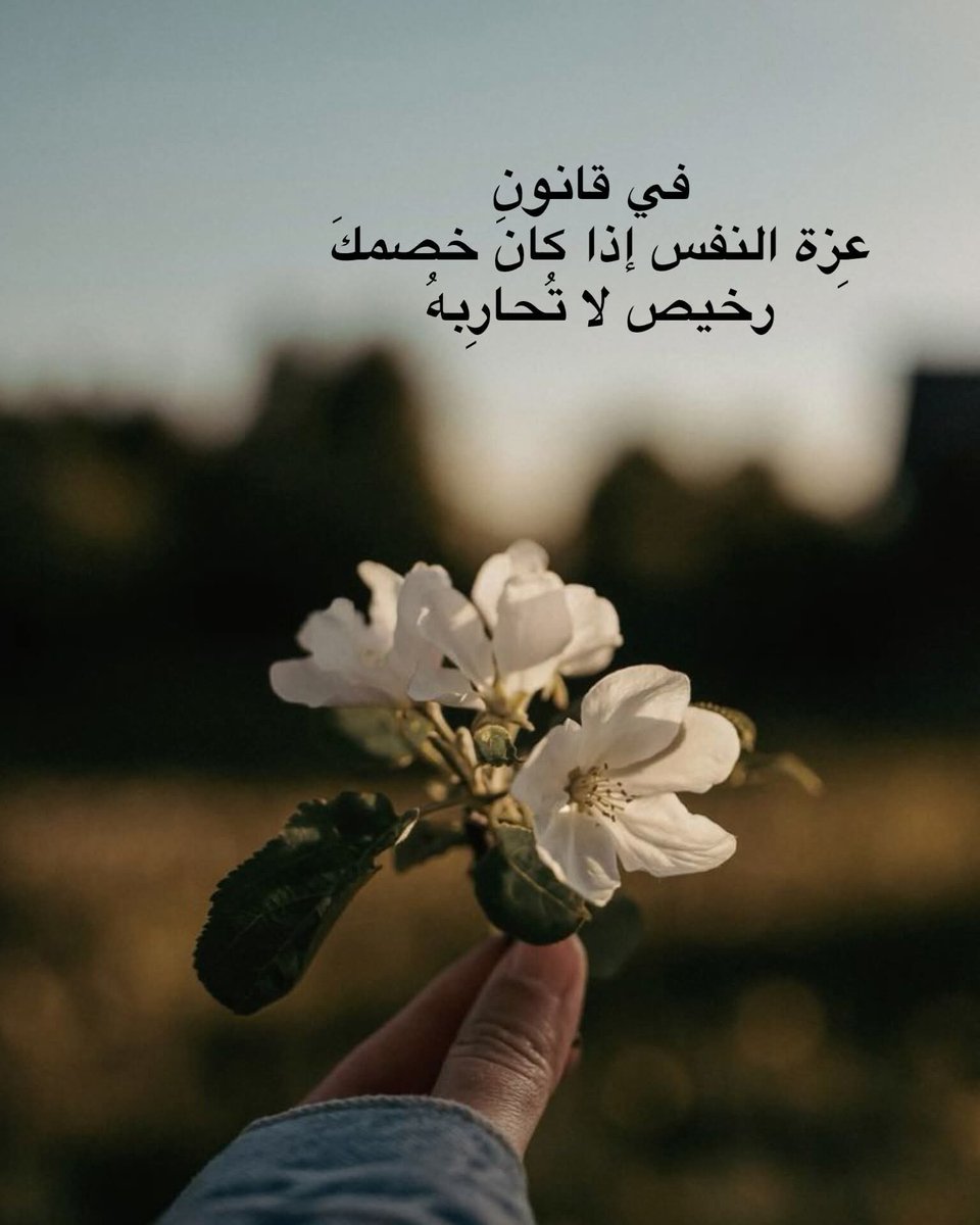 أبو صطيف 1 tweet media