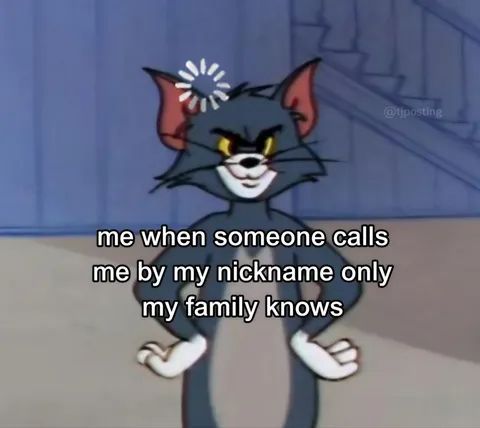 Cat TikToks tweet media
