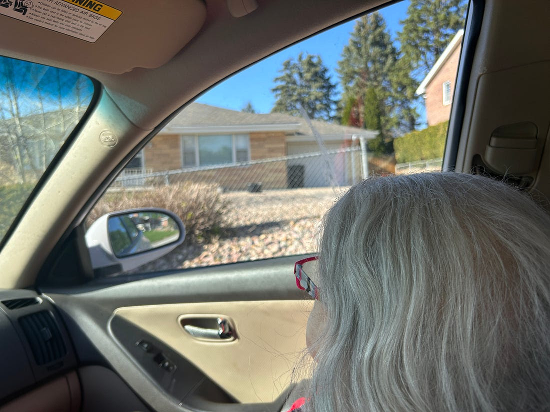 terrywhalin's tweet image. What the Camera Saw from award-winning editor and author Lee Warren (@leewarren) ow.ly/vjuW50YPxgW #writinglife #pubtip