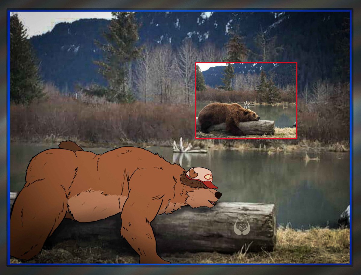 Urso_bear🧸 tweet media