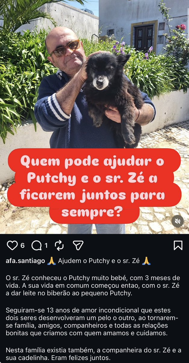 catarina tweet media