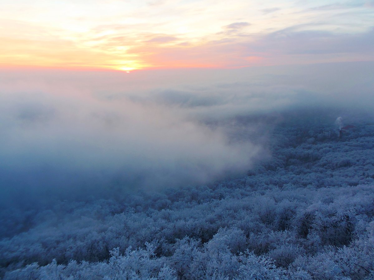BenJavor's tweet image. A winter above the clouds.

Captured from János Hill, Budapest — 2013 ❄️🌅

A frozen forest hidden under fog, with the sun breaking through.

New 1/1 dropping soon.

#NFT #Photography #NFTCommunity