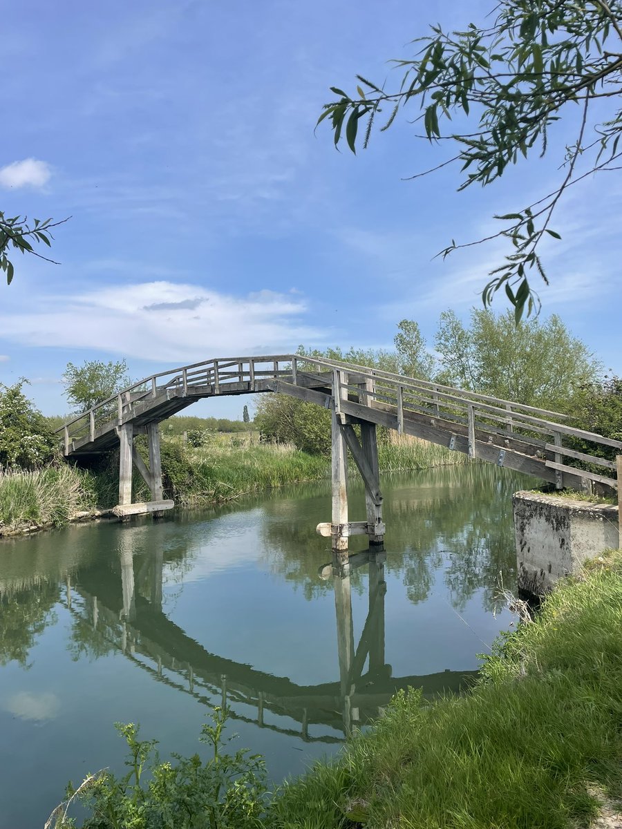 GrossoMatto's tweet image. Whilst proceeding in a westerly direction along the @ThamesPathNT I walked 17 miles from Newbridge to Lechlade, via Tadpole Bridge, Radcot Bridge and Kelmscot.