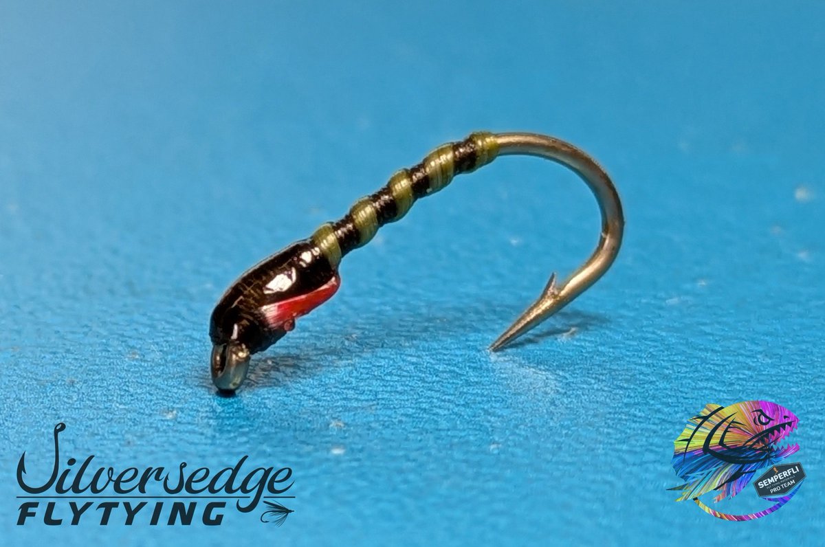 Semperfli Fly Tying tweet media