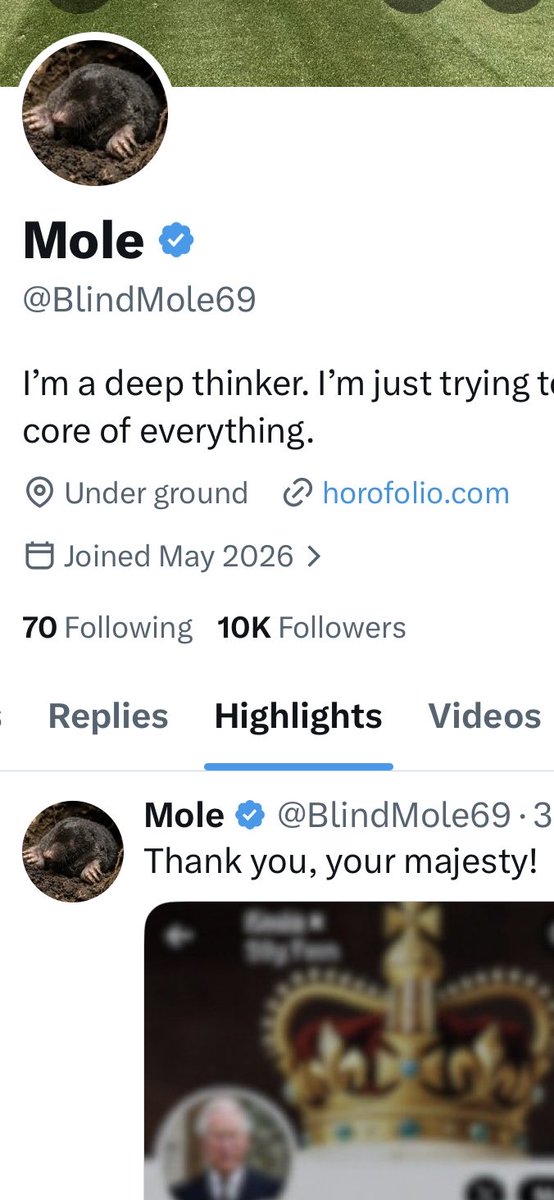Mole tweet media