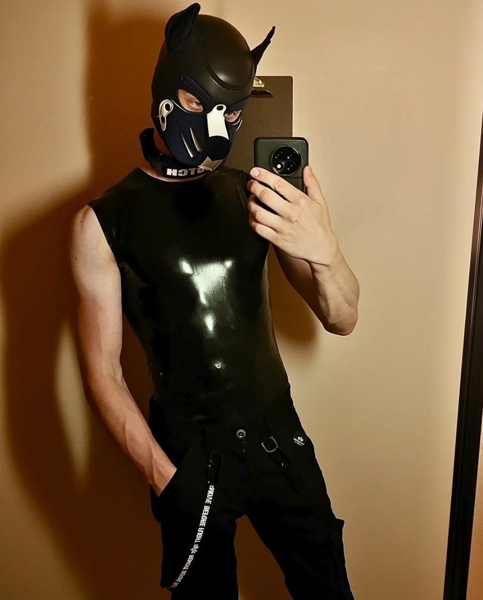 Pup Dutch 🔜 🇬🇧Animalz tweet media