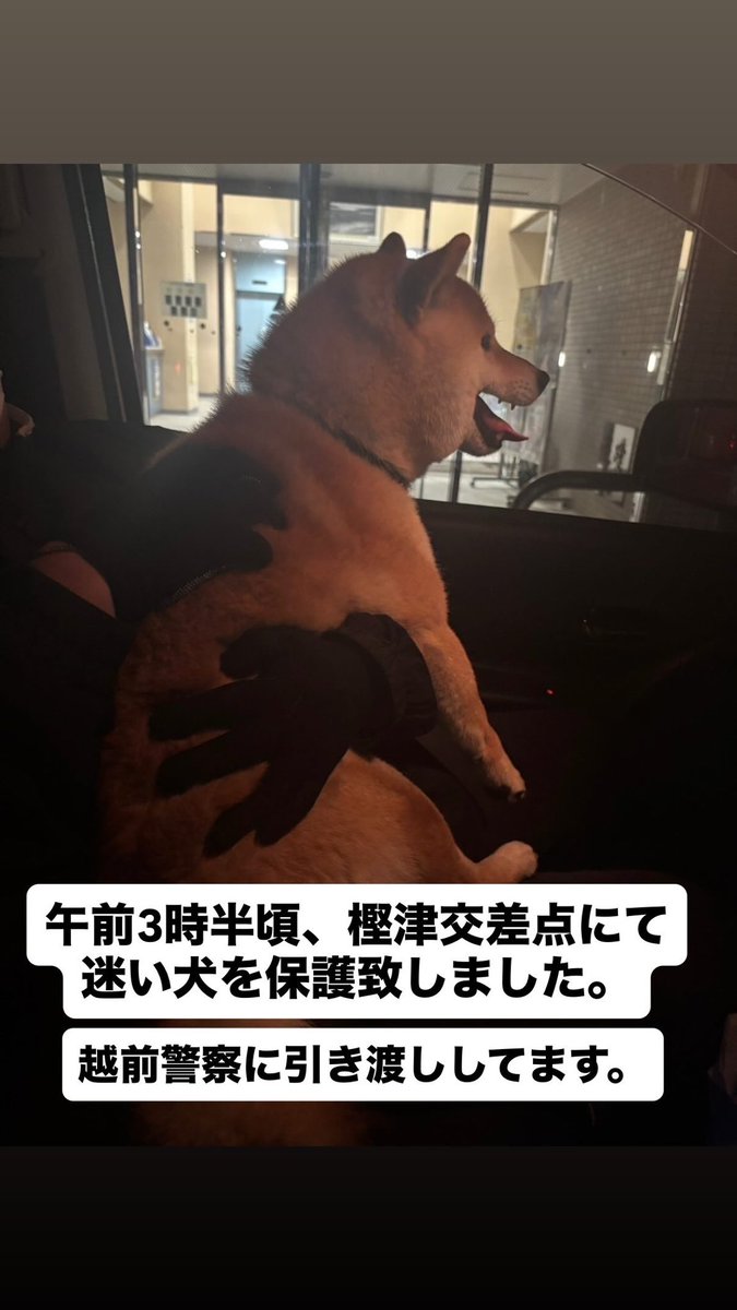 谷口 陸 tweet media