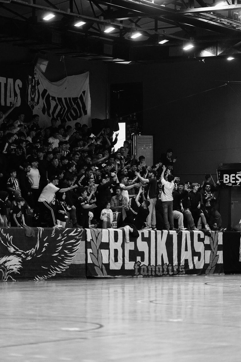 Beşiktaş Hentbol tweet media