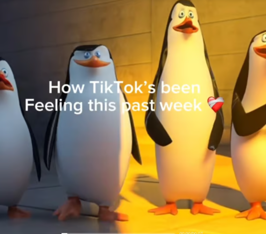 thedev tweet media