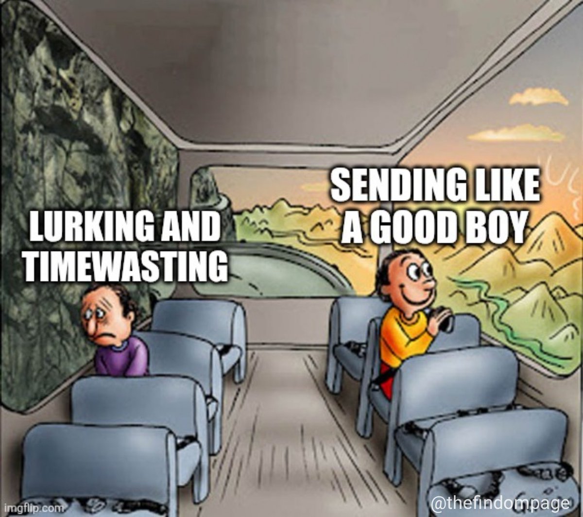 findom & femdom tweet media
