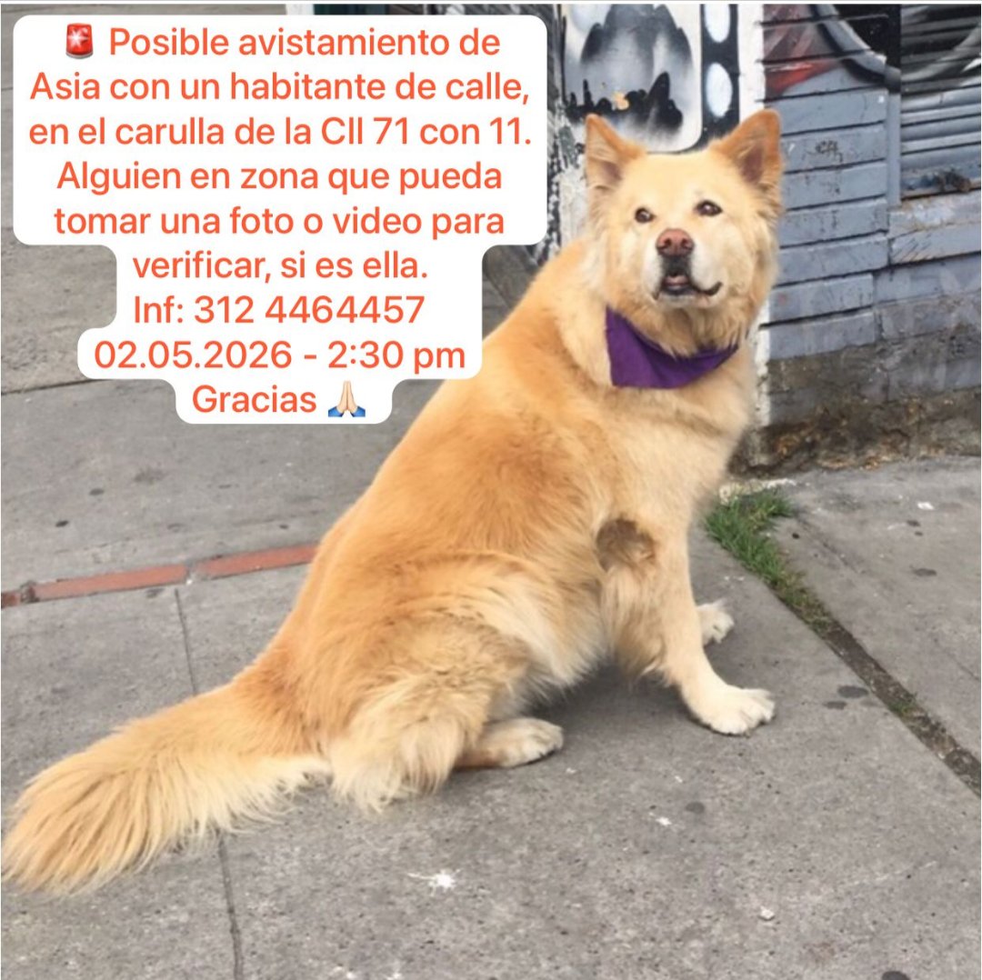 Juana Jirafa tweet media