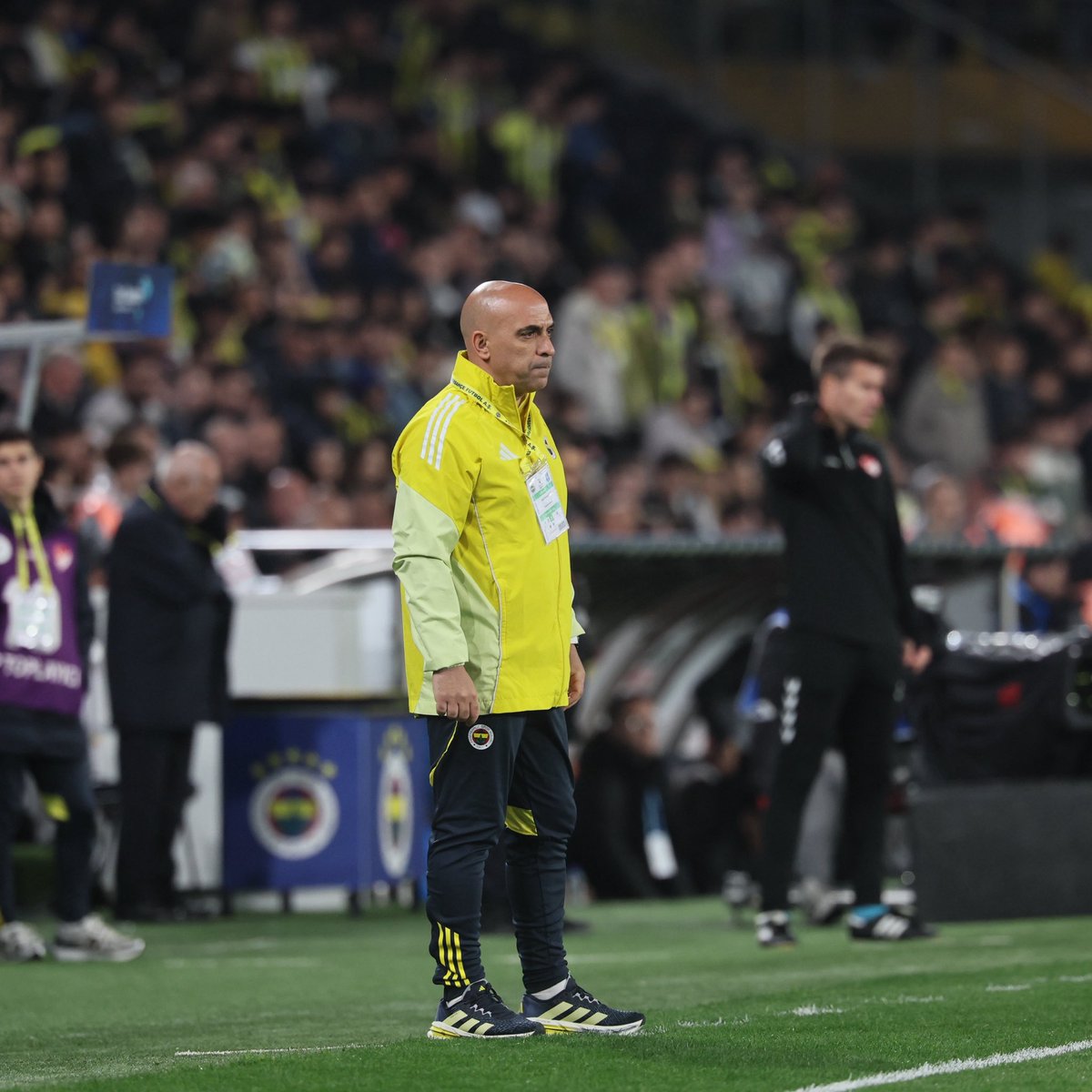Fenerbahçe SK tweet media