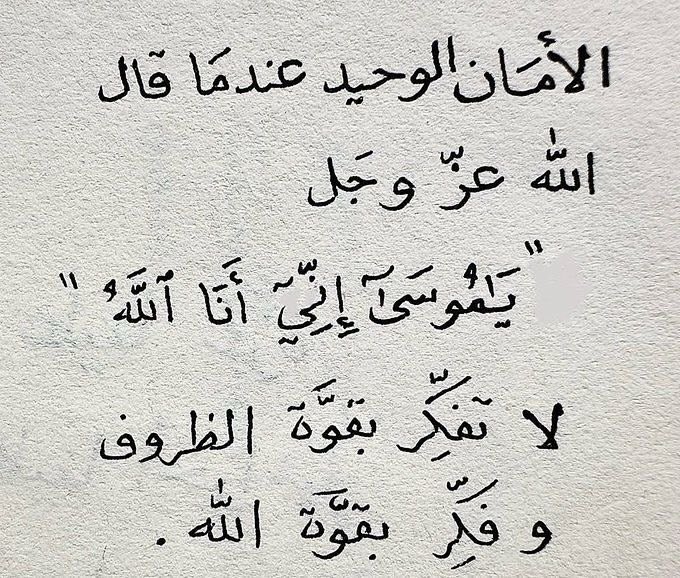 نوره..🧪 tweet media