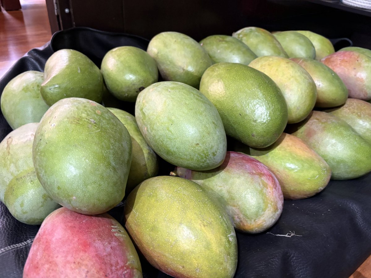ovi_mx34's tweet image. #mango #mangoseason