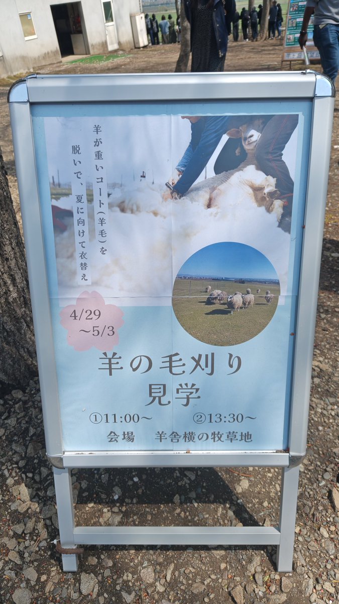 ぽんた tweet media