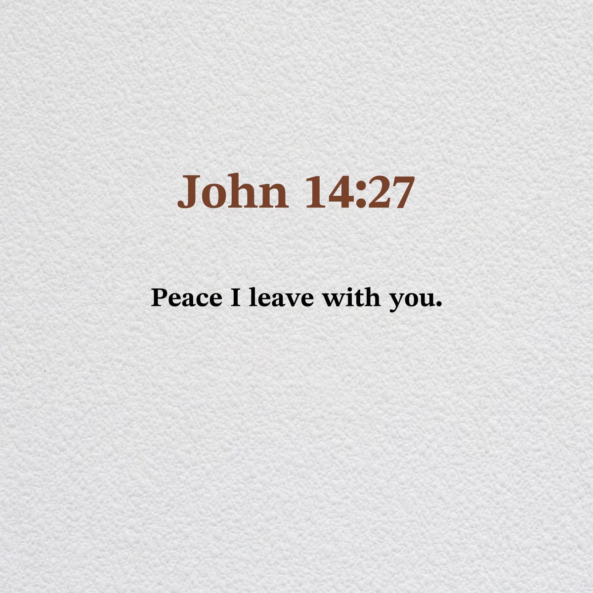 Holy Bible tweet media