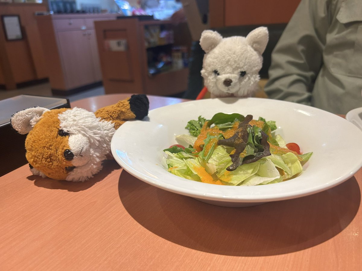 もこもここんこんず。 tweet media