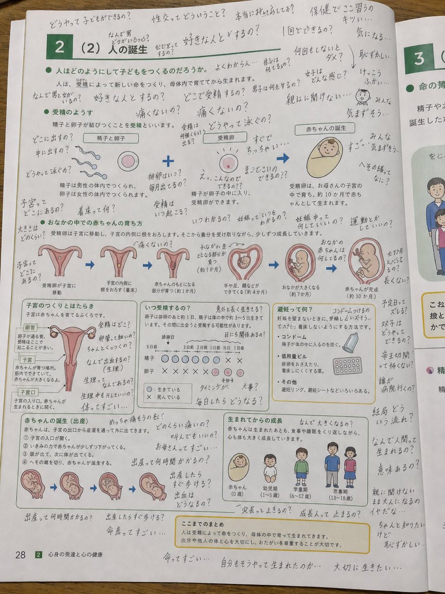 カイト🐱 tweet media