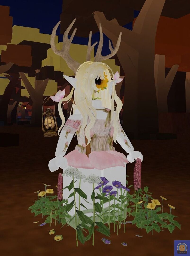 Roblox Fess tweet media