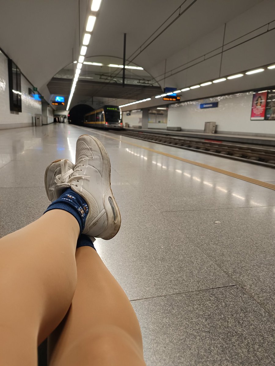 Cuca 🌻🦊 tweet media