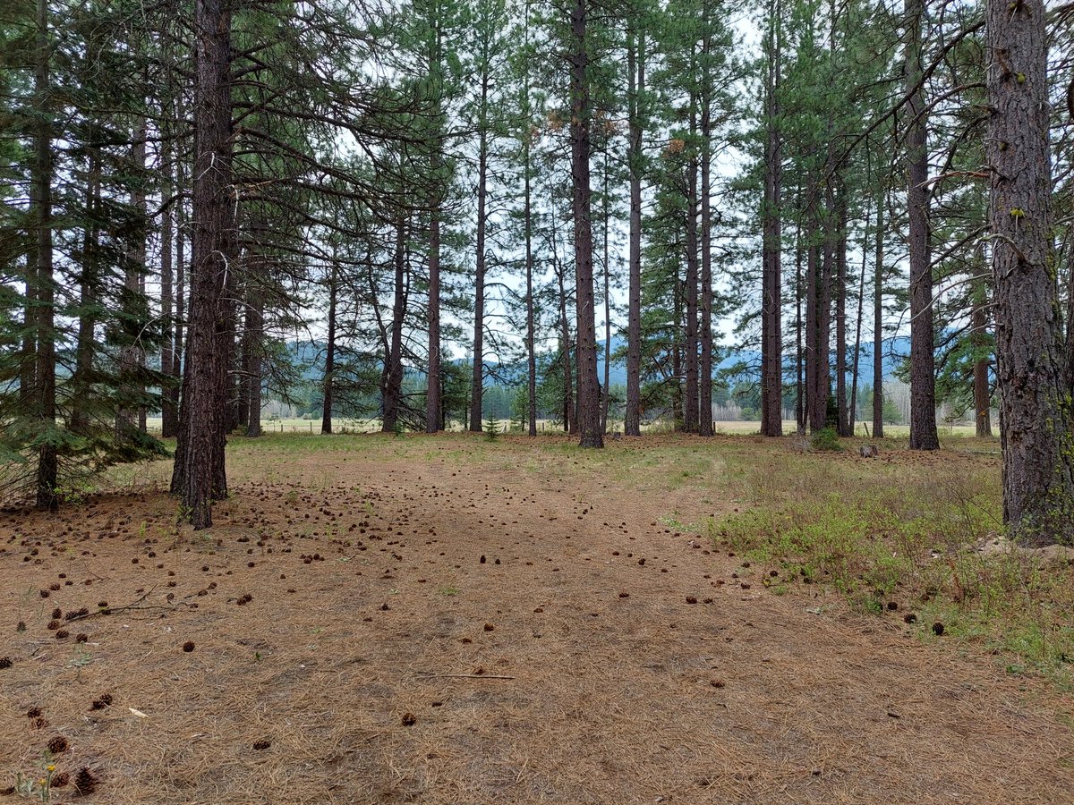 SpaceTDynamics's tweet image. Le piccole cose 
"The little things"

Next Chapter! 
#Oregon