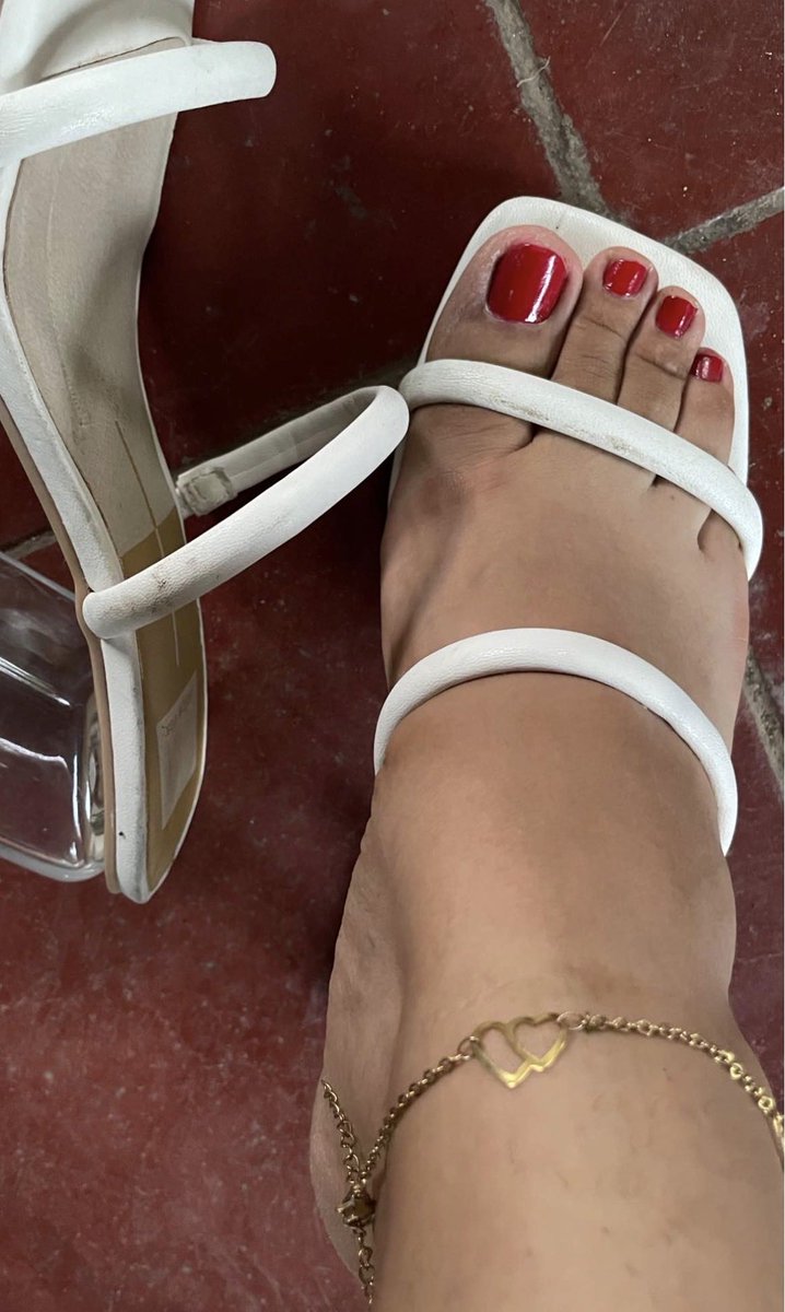 dayana torres tweet media