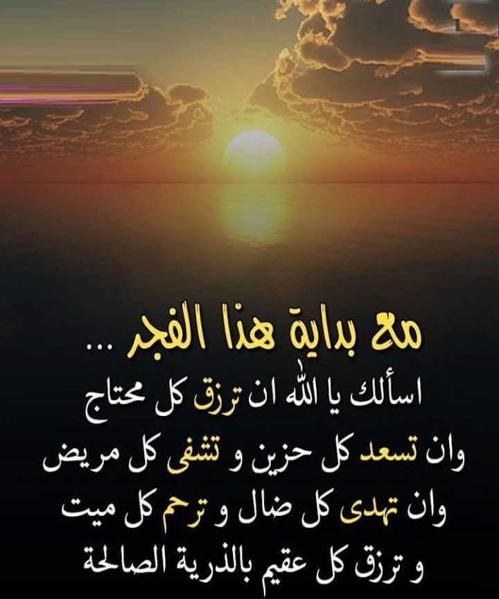 محمد اليماني.. tweet media