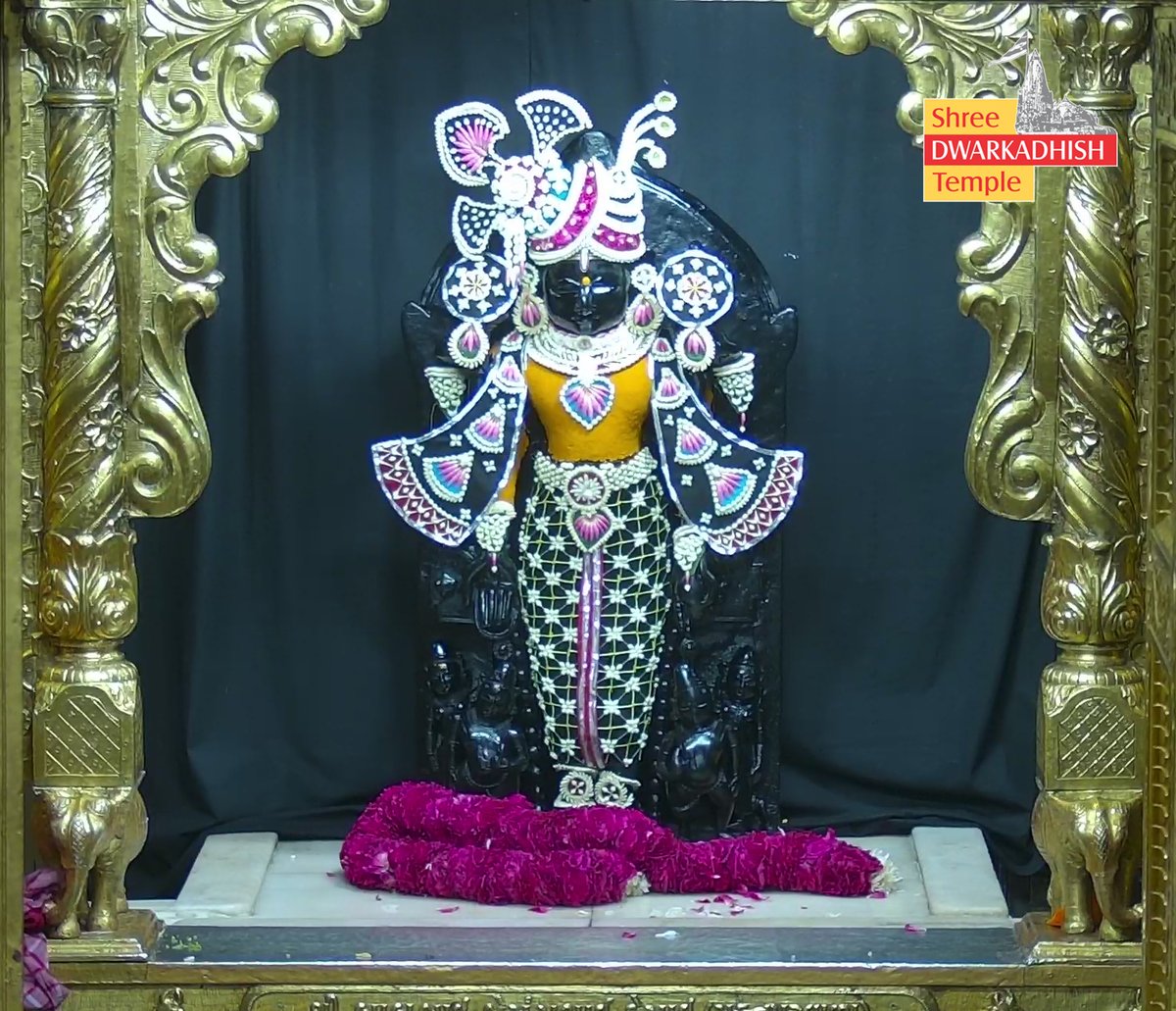 DwarkaOfficial's tweet image. राजाधिराज द्वारकाधीश जी के मङ्गला आरती दर्शन 🙏🏻
श्री द्वारकाधीश मंदिर द्वारका,गुजरात
दिनांक :- 03/05/2026 रविवार                                              
                                             
#dwarka #manglaaarti
#ShridwarikadhishmandirOfficial