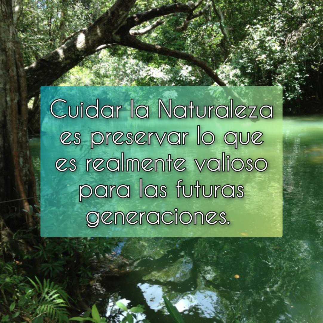 LibertCriollo89's tweet image. La sociedad dominicana está hablando fuerte y claro: preferimos la Naturaleza antes que una riqueza que no nos será beneficiosa.

#Sábado #MedioAmbiente #ConservadurismoRD 🌳🇩🇴