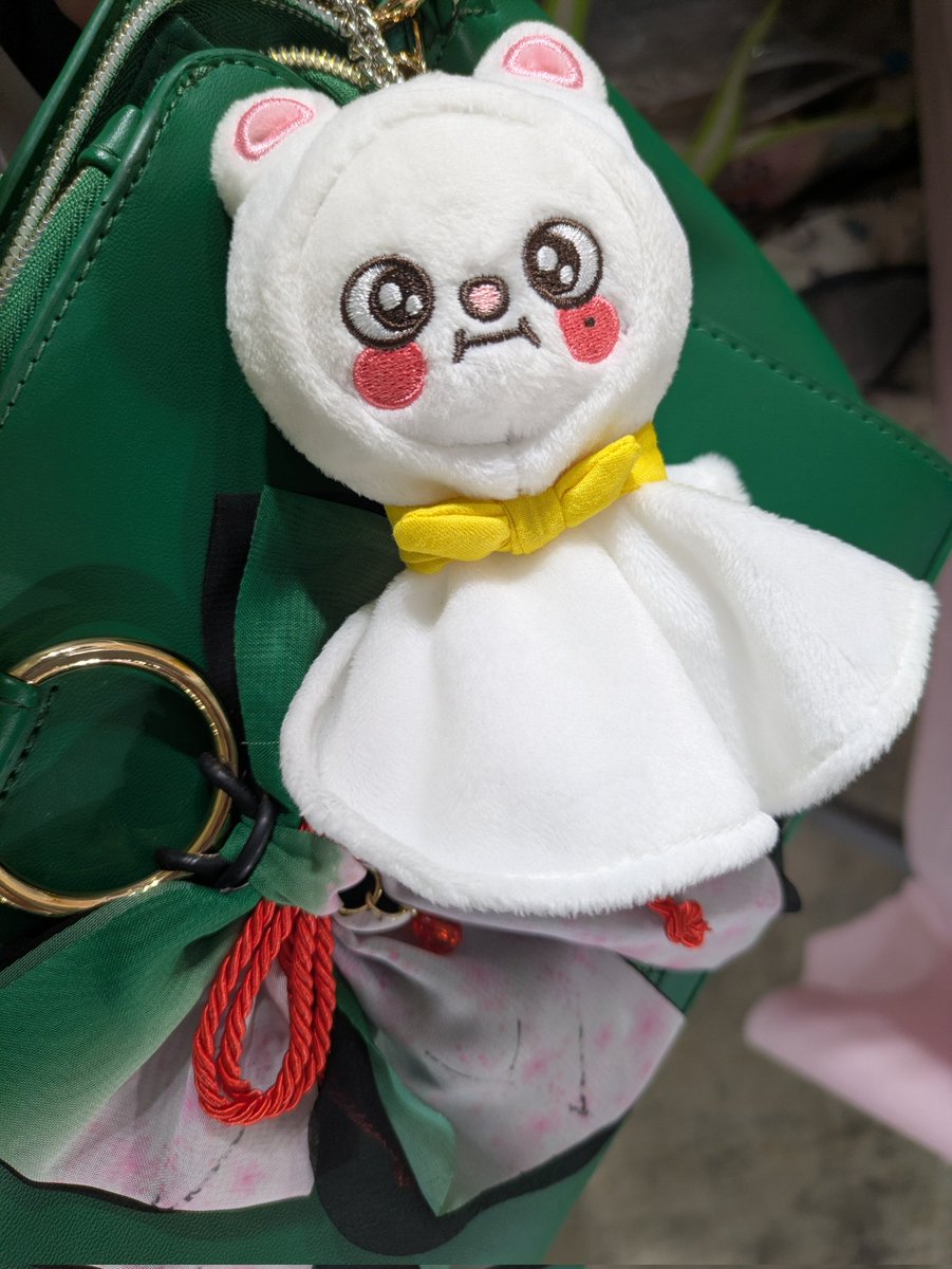 今日は推し達を連れてきた(　･ิω･ิ)