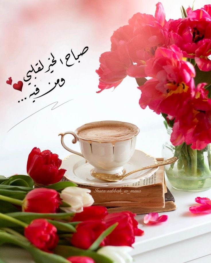 عبير 💕🌹 tweet media