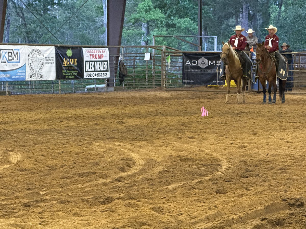 Enjoying the rodeo