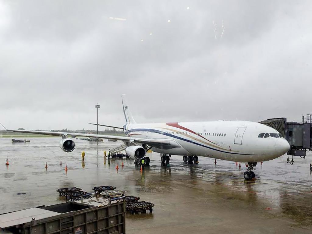 油爆琵琶拌着面🇨🇳 tweet media