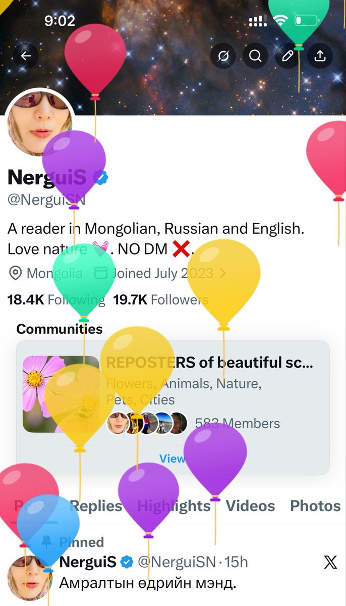 NerguiS tweet media