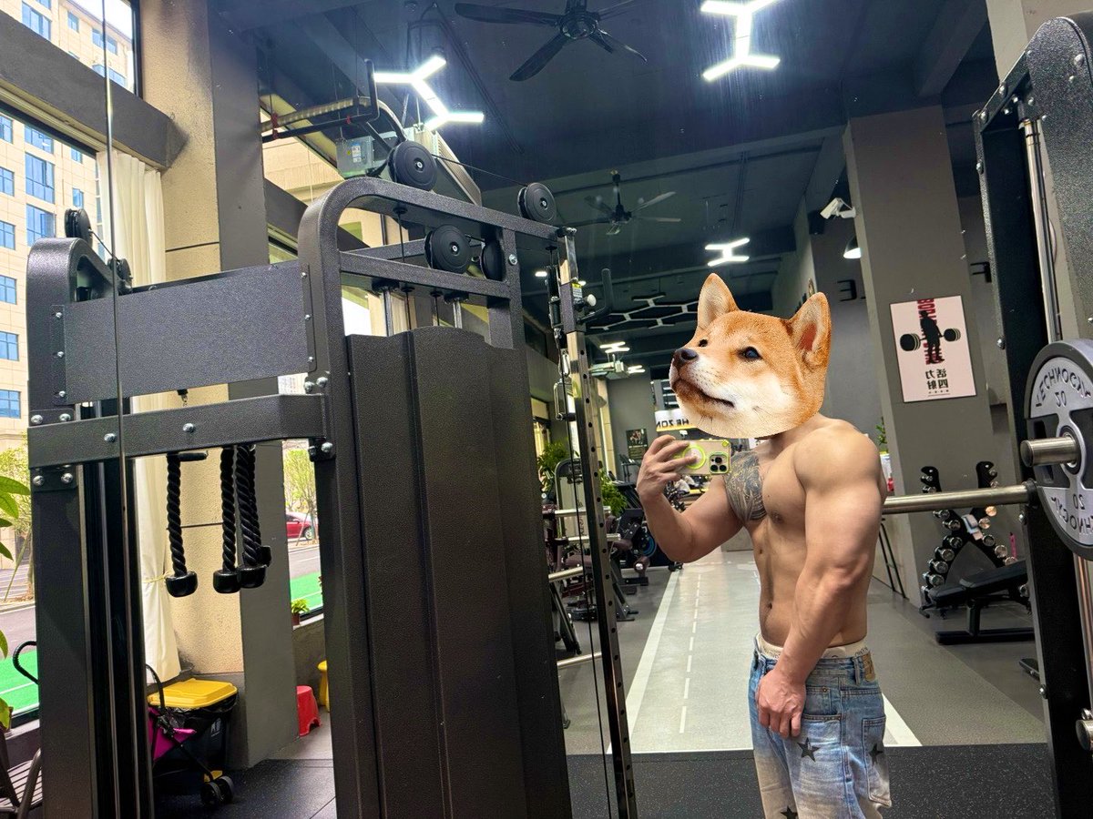 🧊活着 tweet media