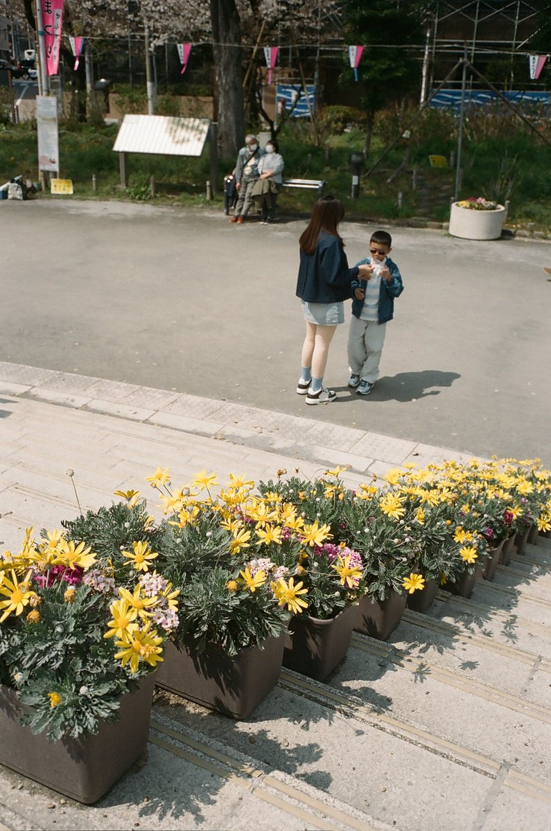 leicalife's tweet image. フィルムカメラは撮っている時に結果を気にしないところが良いですね。確認のしようが無いので余計なプロセスが一つ無くなり、自分と世界の間でカメラは邪魔をせず、さりげなく居てくれる。
#filmphotography
#streetphotography
#Leica