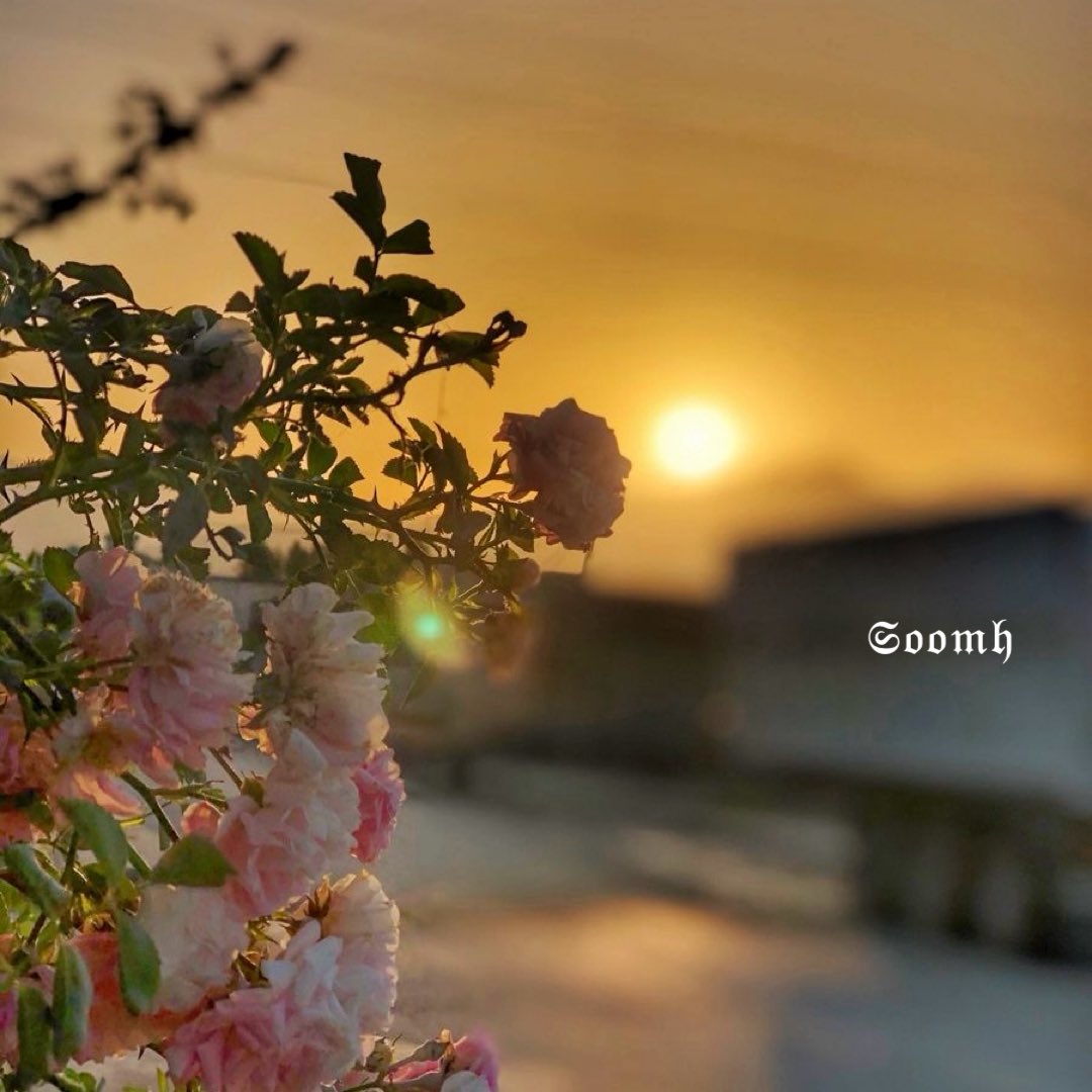 ☕︎𓂃 ִֶָ𐀔ســـومـه tweet media