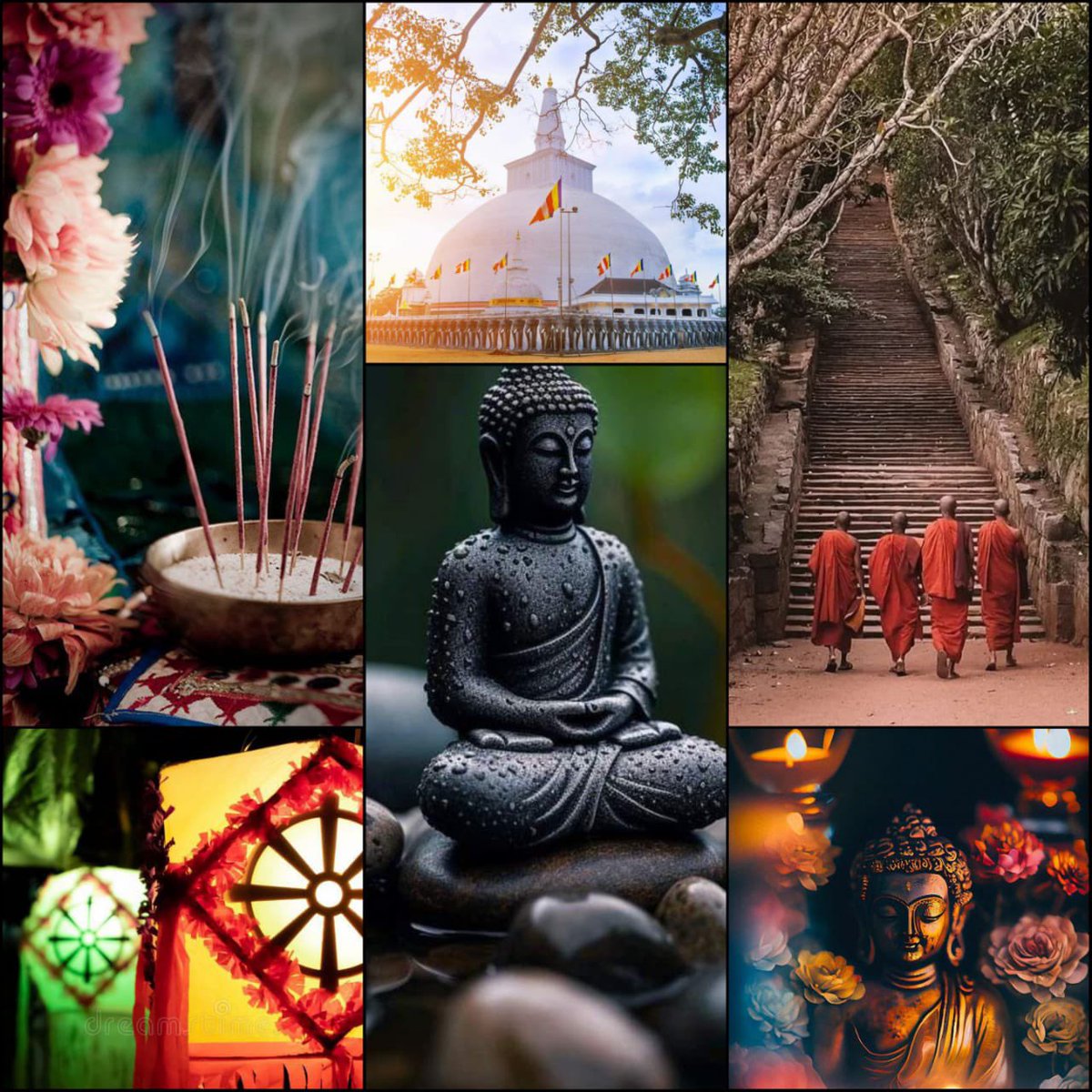 ඉරූ(Iru )🇱🇰イル tweet media