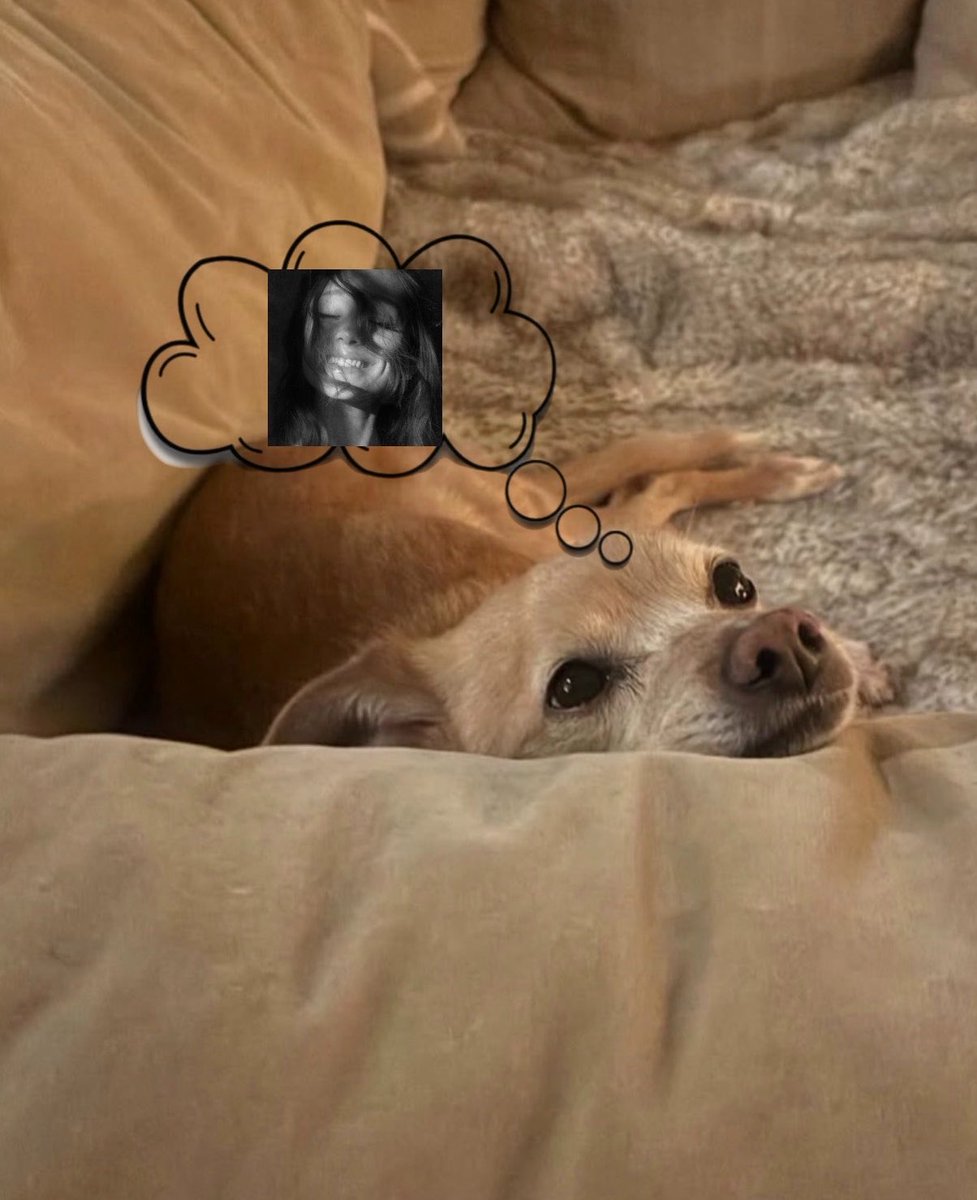eryn ꕤ tweet media